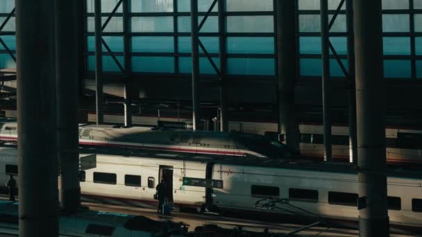 Railway High Speed Train Arrives Platform Passengers Enter Wagons Destination — Vídeo de stock
