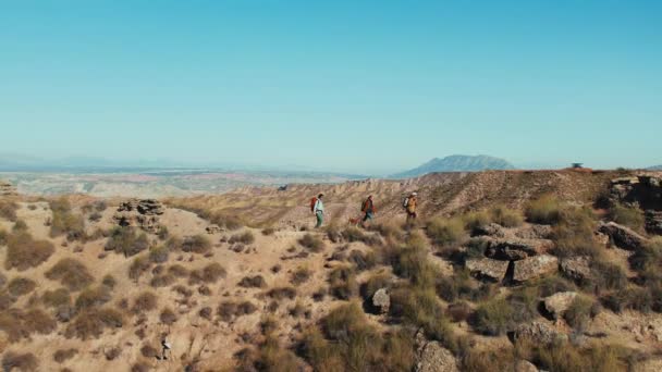 Touristische Wandergruppe Mit Hund Auf Einem Wüstenhügel Fasziniert Von Der — Stockvideo