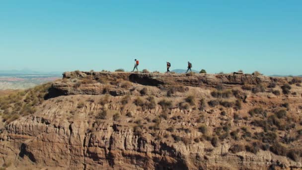 夏の暑さで 彼らの探検家によって導かれる砂漠の丘を犬がハイキングする観光客のグループ トップからの景色は静かな休息を提供し 放浪者の欲望と冒険を刺激します — ストック動画