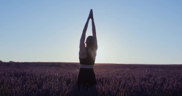 Rosa Och Lila Lavendelfält Provence Vid Soluppgången Gör Kvinna Yoga — Stockvideo