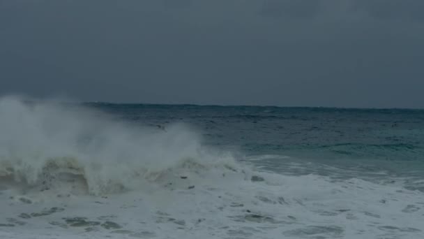 海や海の嵐の間 灰色と曇りの空を背景に2頭のカモメが飛んで魚を釣ります 熱帯性ハリケーンかサイクロン 波が海岸に押し入り泡になる — ストック動画