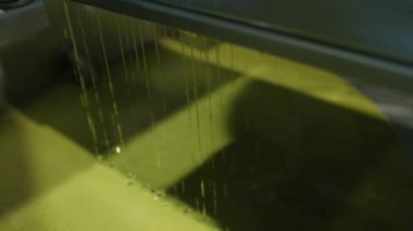 Rafine edilmemiş zeytinyağı fabrikadaki ağır makinelerden geçirilmiş. Küçük İspanyol çiftliğinde ekstra bakir zeytinyağı üretimi