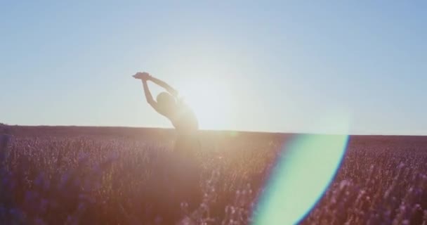 Levandulových Polích Při Východu Slunce Cvičí Žena Józe Pozdravy Asany — Stock video