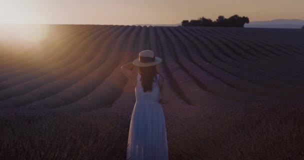 身穿白色衣服和旅行博客服装的年轻女子在薰衣草农场拍摄宏伟美丽日出的照片 法国富饶的有机薰衣草场 — 图库视频影像