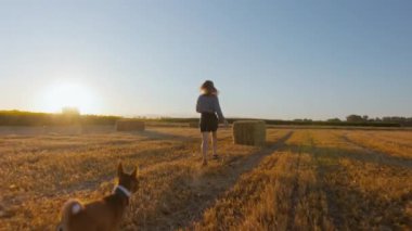 Sinemada çekilen köpek sahnesi altın saatinde genç kızın peşinden sahada koşuyor. Meraklı Basenji samanlıkta zıplar ve en iyi arkadaşımla gün batımını izlerim. Samimi mutluluk ve dostluk. 
