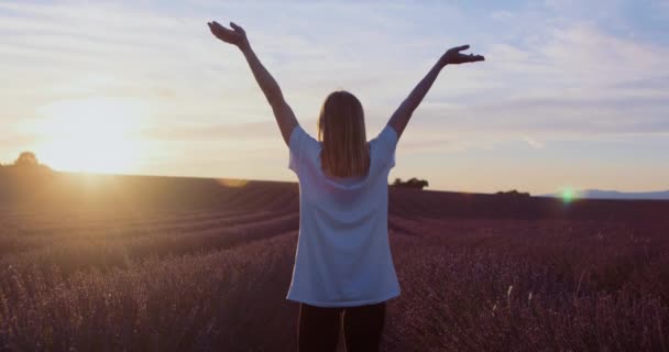 Dreamy Woman Walks Raise Hands Lavender Fields Sunrise Peaceful Surroundings — Stock Video
