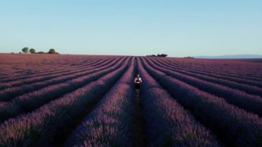 Gündoğumunda lavanta tarlalarında koşan bir kadının hayali ve ilham verici görüntüsü. Provence doğasının güzelliği ve sağlıklı yaşam tarzı. Özgürlük ve macera. Eğitim tatbikatı. Kadın gücü.. 