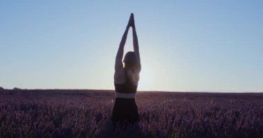 Provence 'deki pembe ve mor lavanta tarlalarında gün doğumunda bir kadın rüya gibi spor kıyafetleriyle yoga asanas yapar. İlham verici meditasyon pratiği. El kamerasıyla. Lens üzerinde güneş parlıyor.. 
