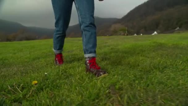 Kobiety Rolnicy Nogi Chodzić Bujnej Zielonej Trawie Pola Otoczony Pięknem — Wideo stockowe