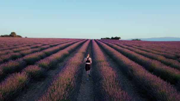 在日出时分 身材匀称的女孩穿过紫色薰衣草地跑掉了 健康的生活方式和运动 运动服和对跑步的热爱使她成为健康爱好者的完美影响者 Womanpower — 图库视频影像