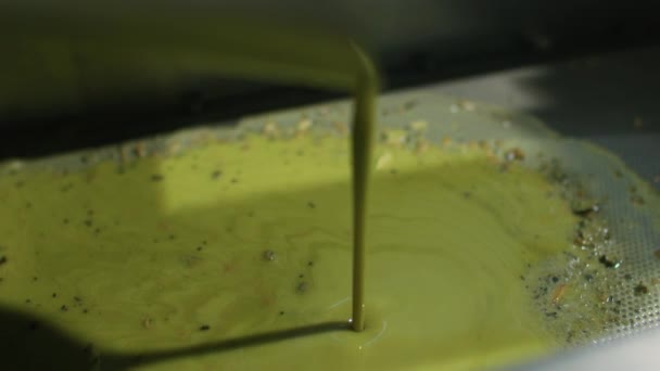 在小型有机工厂生产额外原生橄榄油的工艺 生橄榄油在生产过程的第一步被压榨 — 图库视频影像