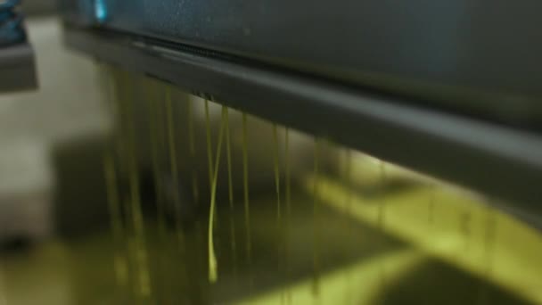 工厂里未经提炼的橄榄油压穿了重型机械 小西班牙农场额外的初榨橄榄油产量 — 图库视频影像