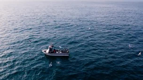 Açık Okyanus Suyunda Martılarla Çevrili Küçük Bir Balıkçı Teknesi Portekiz — Stok video