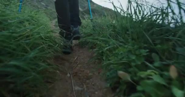 ジンバルは 隠れた山道を歩くレースで防水ブーツをハイキングする人の足の安定したショット 壮大な景色 緑の岩の道でハイキング 冒険のライフスタイルをインスパイアし 自然の中でバックパッキング — ストック動画
