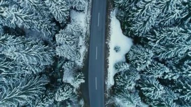 Dron 'un hava görüntüsü, dağlardaki karla kaplı ormandaki boş asfalt yolda uçuyor. Soğuk kış koşullarında sinematik yolculuk. 