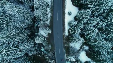 Yüksek irtifa kuşlarının gözünden iki bisikletlinin ıssız kış orman yolunda sürüşünün drone görüntüsü. Macera bisikleti sürmek ve yeni yerler keşfetmek. Sinematik bisiklet konumu