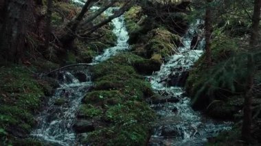 Dağ deresi ya da kışın kar mevsimi boyunca suyla dolu küçük bir nehir. Sinema doğası yakın çekim. Dağlardaki doğal temiz içme suyu kaynağı.