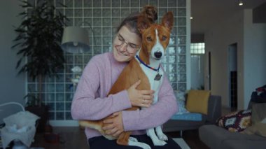 Gülümseyen genç kadın Basenji cinsinin sevimli küçük köpeğini kucaklıyor ve tırmalıyor. Gururlu evcil hayvan sahibi özel tasarım dairede köpeğe organik ikramlar veriyor. Gerçek mutluluk ve bağlantı bağı