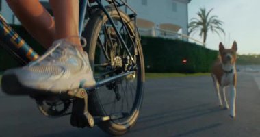 PORT SAGARO, İspanya - 20 Mayıs 2020: Omnium markasının kargo bisikletine ve New Balance spor ayakkabılarına yakın çekim. Basenji cinsi köpek kenara kaçıyor.