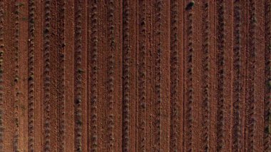 Havadan bakıldığında güzel bir manzara sergileniyor. Yeni sürülmüş tarlalar düzenli, düzenli sıralarda dizilmiş.