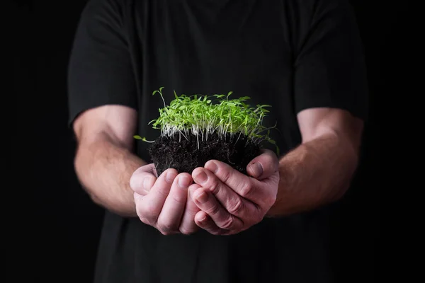 Mann Zeigt Grüne Triebe Die Vordergrund Aus Dem Boden Wachsen — Stockfoto