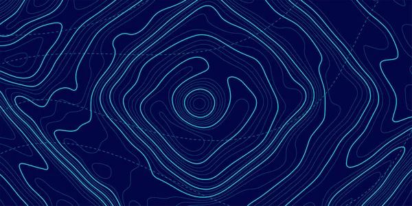 Topographic Map Blue Background Geographic Line Map Elevation Assignments Contour — Wektor stockowy