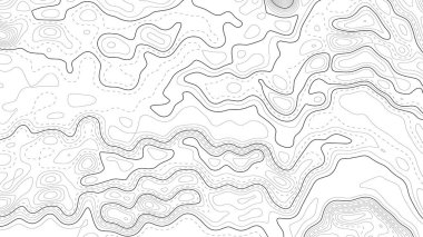 Topografik harita arkaplanı. Yükseklik atamalı coğrafi hat haritası. Contour arka plan coğrafi şebekesi. Vektör illüstrasyonu.