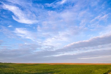 Tepelerin yamaçlarındaki uçsuz bucaksız tarlalar çeşitli ekinlerle ekilmiştir. Muhteşem gökyüzü olan huzurlu kırsal alan. Batı Ukrayna 'da, Rivne şehrinin yakınında yaz akşamı..