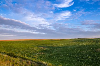 Tepelerin yamaçlarındaki uçsuz bucaksız tarlalar çeşitli ekinlerle ekilmiştir. Muhteşem gökyüzü olan huzurlu kırsal alan. Batı Ukrayna 'da, Rivne şehrinin yakınında yaz akşamı..