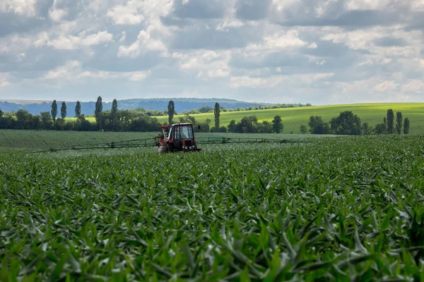 Farm Tractor Trailed Sprayer Processes Field Sown Corn Plant Protection — Stock Photo, Image