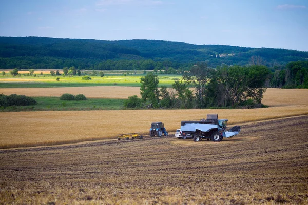 Modern Blue Combine Harvester Stands Field Spring Grain Crop Has — Stock Photo, Image
