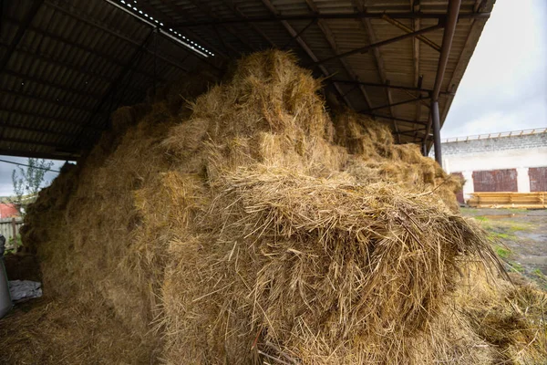 干し草とわらの棚は 農場の庭の天蓋の下に積み上げられています ウクライナ西部の秋 リヴィウ地方のどこか — ストック写真