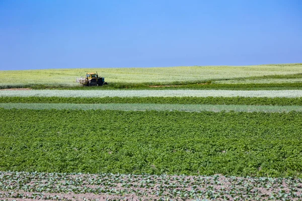 Tractorul Pulverizator Câmpurile Micilor Fermieri Plantați Morcovi Ceapă Cartofi Varză — Fotografie, imagine de stoc