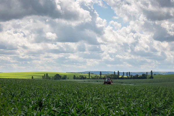 Bir Tarla Traktörü Bitkilere Karşı Korumalı Ürünler Ekilmiş Bir Tarlayı — Stok fotoğraf