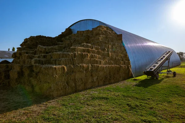 Storage Hay Straw Bales Farm Concept Theme Stock Raising Food — Stock Photo, Image