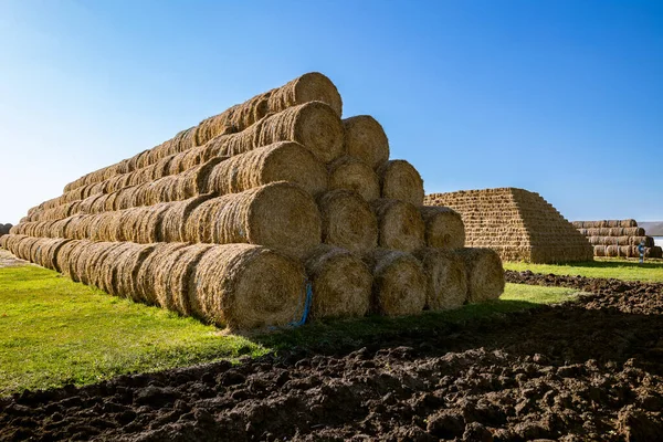 Storage Hay Straw Bales Rolls Farm Concept Theme Stock Raising — Stock Photo, Image