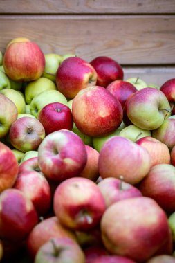 Ağaçlardan toplanan taze olgun kırmızı elma hasadı büyük ahşap palet kapları şeklinde katlanır. Ukrayna 'nın Bukovyna bölgesindeki meyve bahçelerinin üretim kapasitesi.