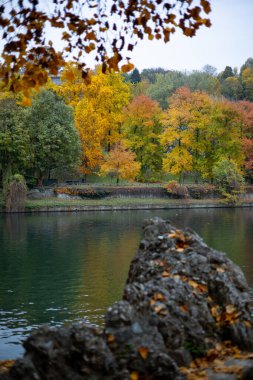 Renkli sonbahar yaprakları İtalya 'nın Torino kentindeki Po Nehri' nin kıyısında yer alır. Canlı ağaçların yansımaları suda parıldıyor..