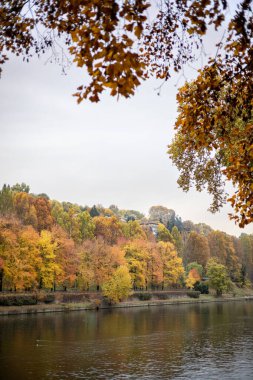Renkli sonbahar yaprakları İtalya 'nın Torino kentindeki Po Nehri' nin kıyısında yer alır. Canlı ağaçların yansımaları suda parıldıyor..
