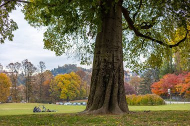 Parco del Valentino, Torino, İtalya 'da taklalar, renkli ağaçlar ve parkın tadını çıkaran insanlar. Santa Maria al Monte dei Cappuccini uzaktan görülebilir..