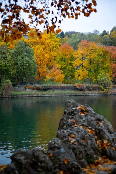Renkli sonbahar yaprakları İtalya 'nın Torino kentindeki Po Nehri' nin kıyısında yer alır. Canlı ağaçların yansımaları suda parıldıyor..
