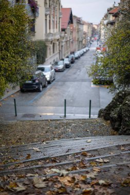İtalya 'nın Torino kentinde sonbahar: yapraklarla kaplı merdivenlerin tepesinden aşağı bir cadde manzarası. Bu şehir sahnesinde park halindeki arabalar yol kenarında..