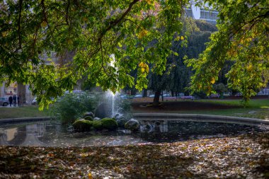 İtalya, Torino 'da bir parkta sakin bir sonbahar sahnesi. Çeşmeli dairesel bir gölet..