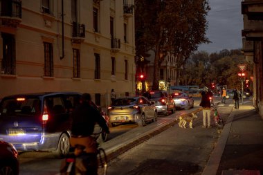 Torino, İtalya - 09 Kasım 2021: Via Carlo Denina 'nın trafik, yayalar ve bisikletli ve iki köpekli akşam görüntüsü