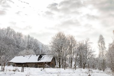 Karla kaplı çatısı olan kırsal ahşap bir ev, açık, açık mavi gökyüzünün altında kar yüklü ağaçların arasında duruyor..
