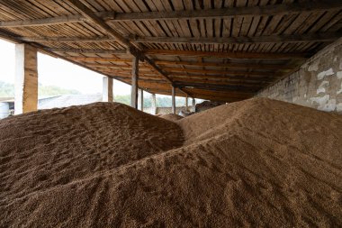 Değirmen deposunda buğday taneleri ya da tahıl asansöründe. Gıda pazarlarının ana emtia grubu.