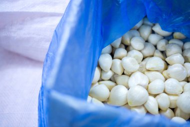 İnce buz kaplamalı, dondurulmuş sarımsak soğanlarının yakın çekimi. Süpermarketlerde raf ömrünün uzatılması ve bozulabilir hasat kalitesinin korunması için perakende paketlemeye hazırlar..