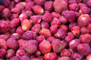 İnce buz kaplamalı donmuş çileklere yakın çekim. Süpermarketlerde raf ömrünün uzatılması ve bozulabilir hasat kalitesinin korunması için perakende paketlemeye hazırlar..