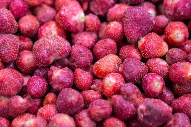 İnce buz kaplamalı donmuş çileklere yakın çekim. Süpermarketlerde raf ömrünün uzatılması ve bozulabilir hasat kalitesinin korunması için perakende paketlemeye hazırlar..