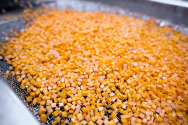 Parlak havuç küpleri parçalayıcı toplayıcıdan, şok odasına girmeden önce hareket eden ağ taşıyıcı bandına düşer..